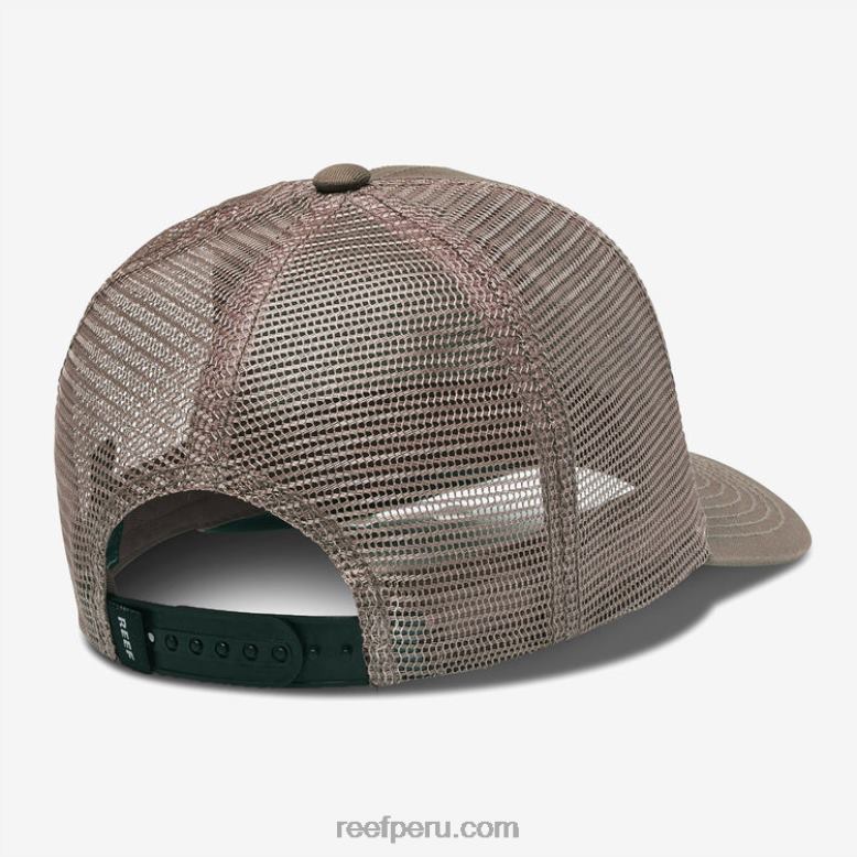 gorra de camionero snapback townsend cilantro 0RZL2756 hombres Reef