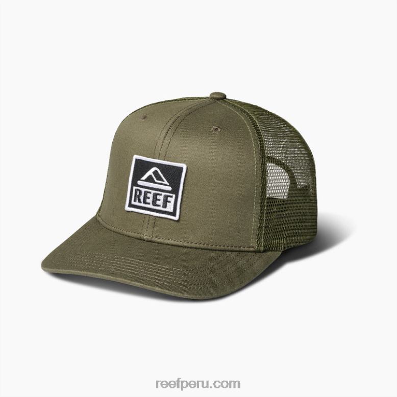 Reef Men's Hale Strapback Hat - 100% Cotton Twill Flat Bill Casual Cap