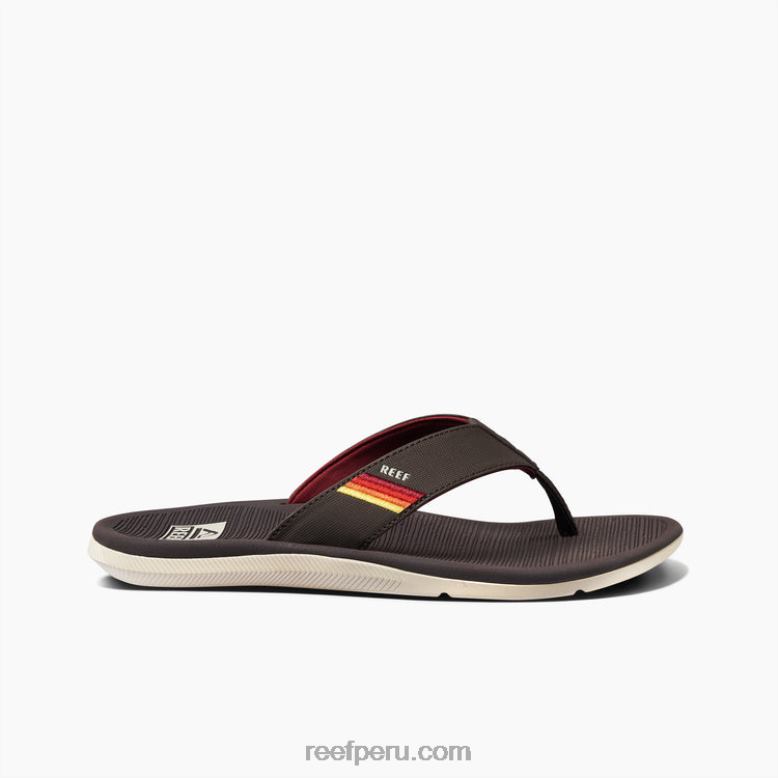 arrecife santa ana puesta de sol marrón vintage 0RZL2309 hombres