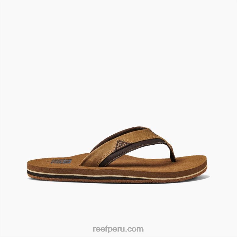 cojín amanecer bronce 0RZL2393 hombres Reef