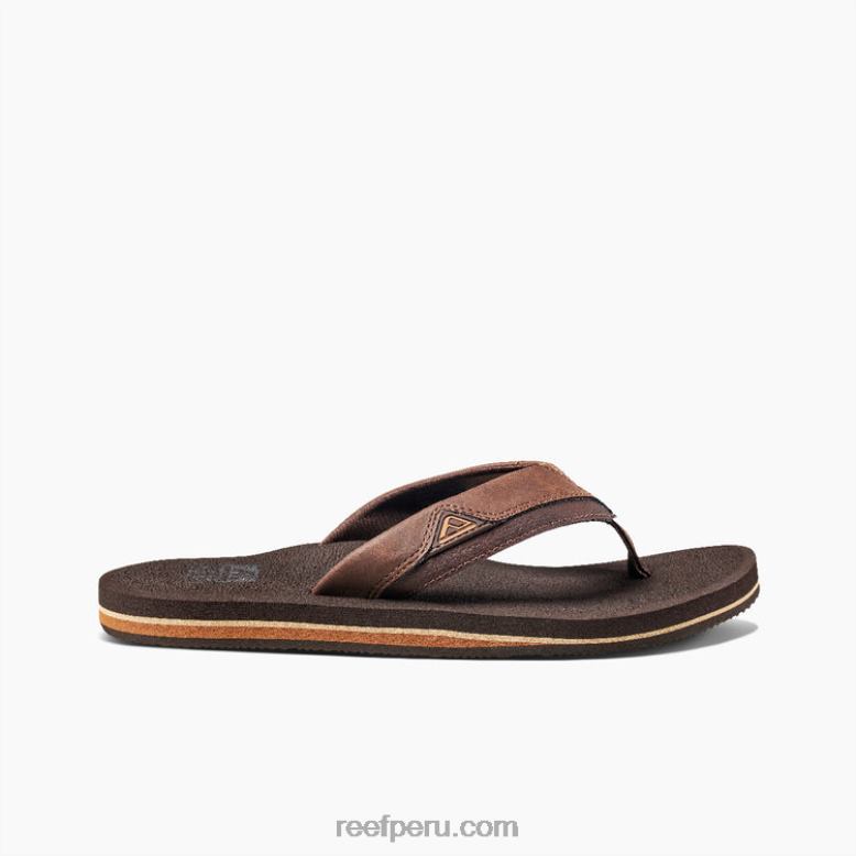 cojín amanecer marrón 0RZL2426 hombres Reef