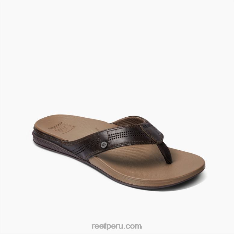 cojín de lujo java fósil 0RZL2402 hombres Reef