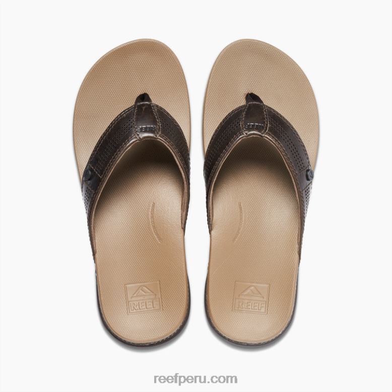 cojín de lujo java fósil 0RZL2402 hombres Reef