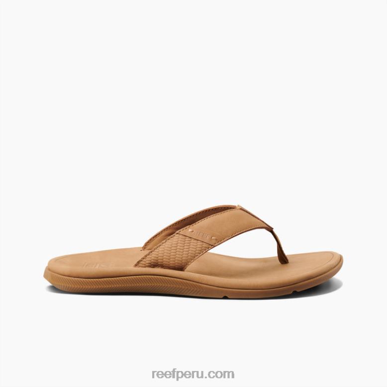 cuero santa ana broncearse 0RZL2318 hombres Reef