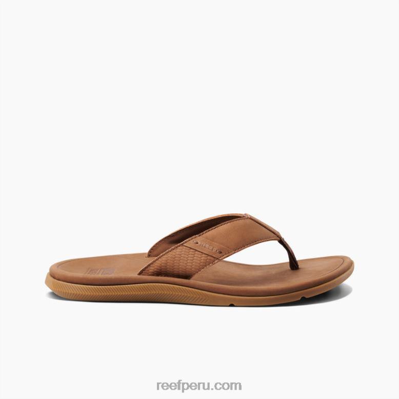 cuero santa ana marrón 0RZL2351 hombres Reef