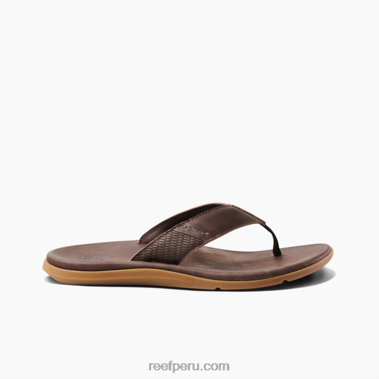 cuero santa ana marron oscuro 0RZL2365 hombres Reef