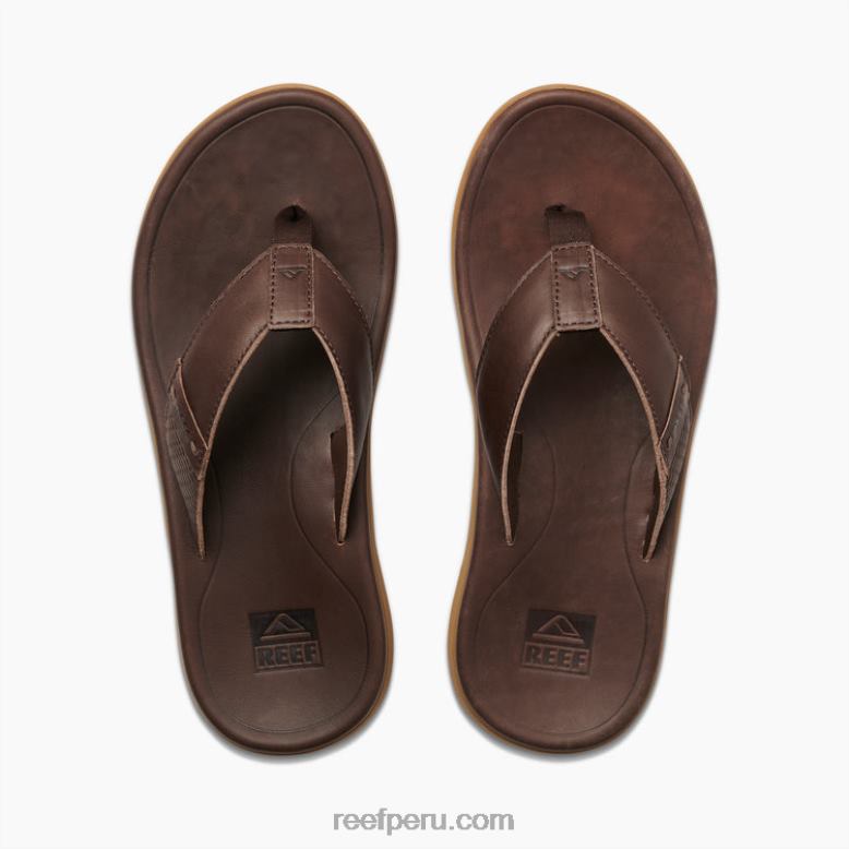cuero santa ana marron oscuro 0RZL2365 hombres Reef
