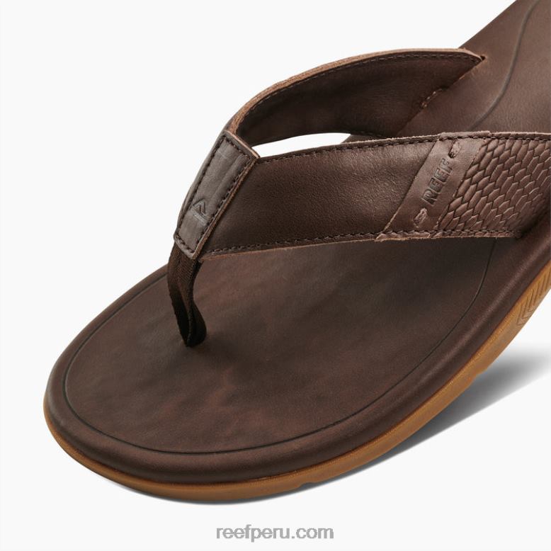 cuero santa ana marron oscuro 0RZL2365 hombres Reef