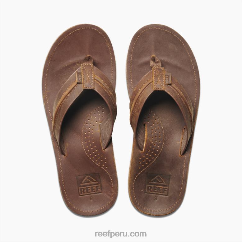 viaje de lujo marrón 0RZL2312 hombres Reef