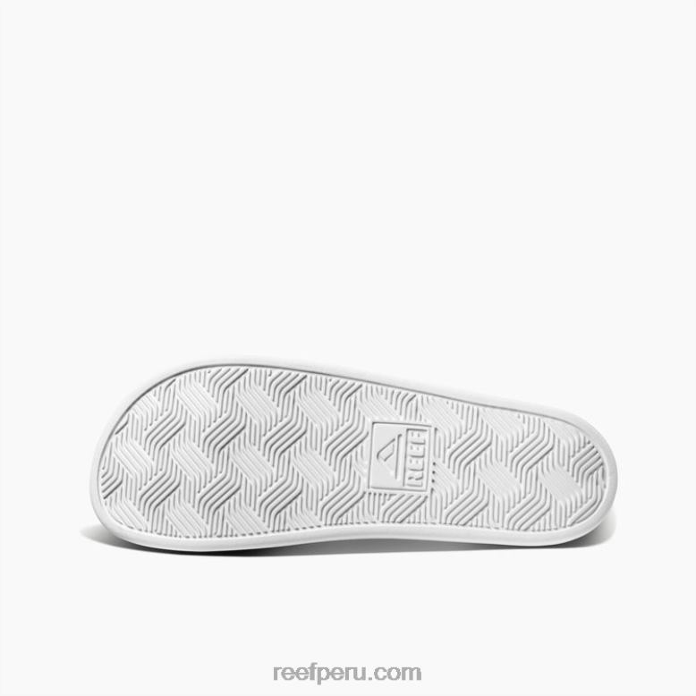 cojín alisio gris blanco 0RZL2438 hombres Reef