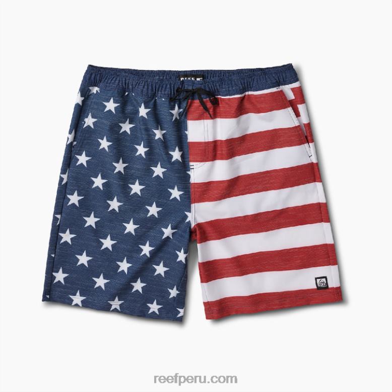 shorts de baño hancock 18