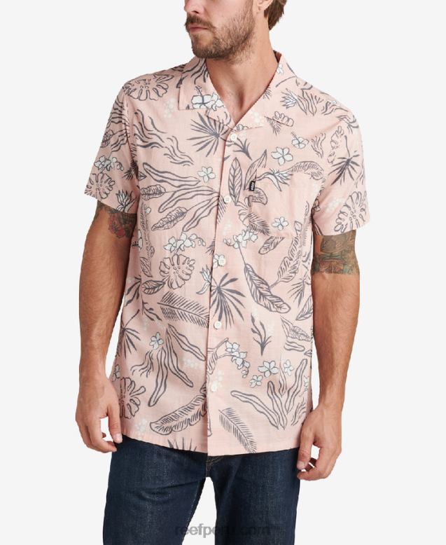 camisa de manga corta rockdale rosa sepia 0RZL2639 hombres Reef