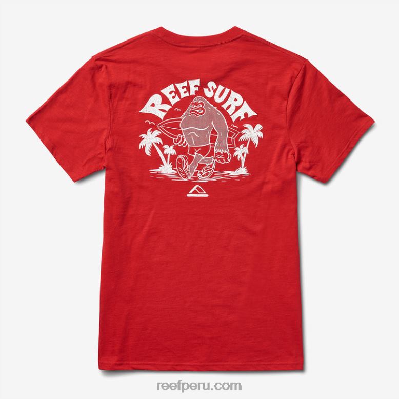 camiseta con gráfico flameado de herman montaña roja 0RZL2611 hombres Reef