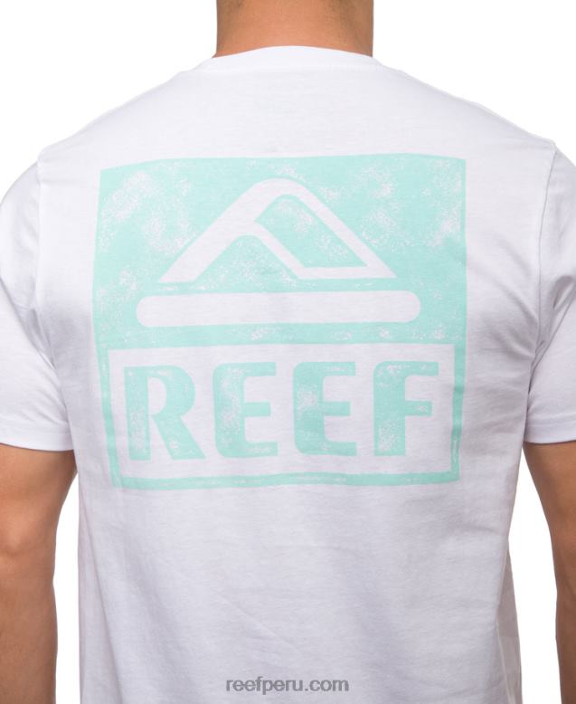 camiseta de manga corta blanco brillante 0RZL2560 hombres Reef