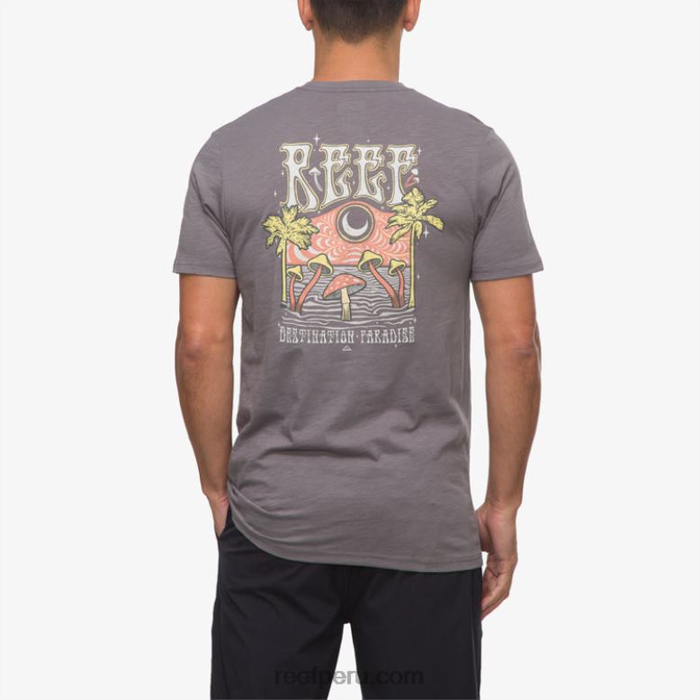 camiseta de manga corta con póster del paraíso sombra tranquila 0RZL2574 hombres Reef