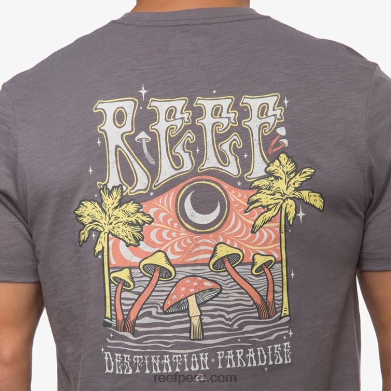 camiseta de manga corta con póster del paraíso sombra tranquila 0RZL2574 hombres Reef