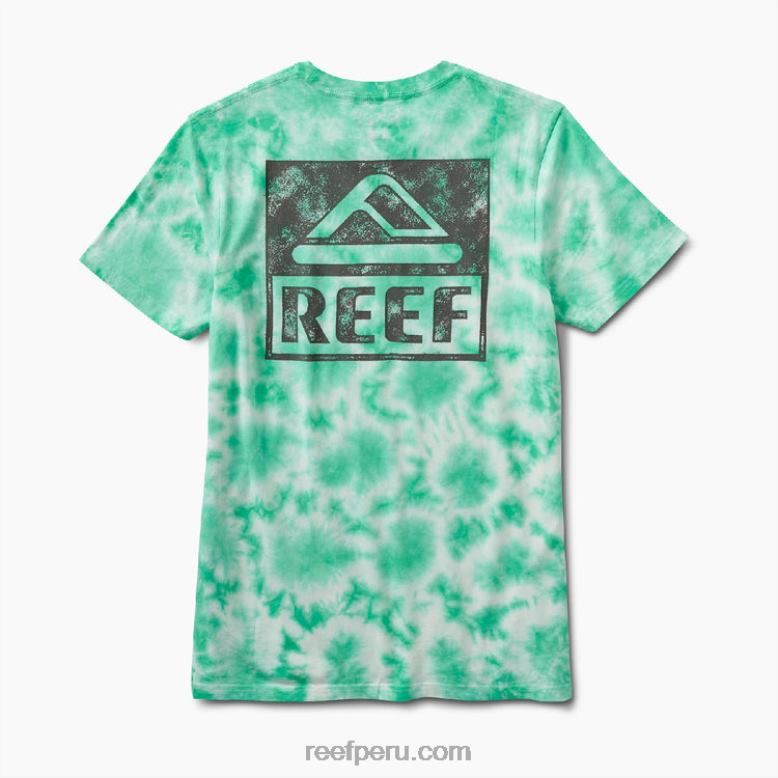 camiseta de manga corta con teñido anudado verde electrico 0RZL2618 hombres Reef