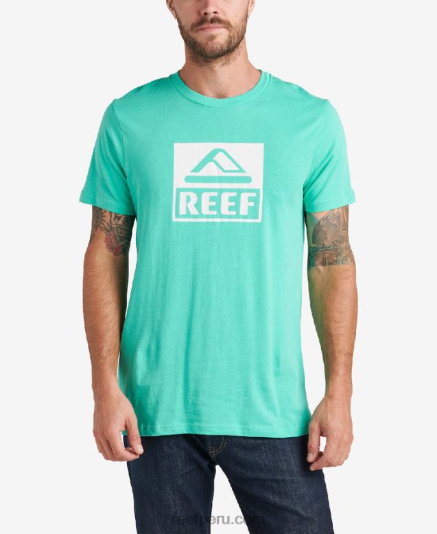 camiseta de manga corta del conductor verde electrico 0RZL2583 hombres Reef