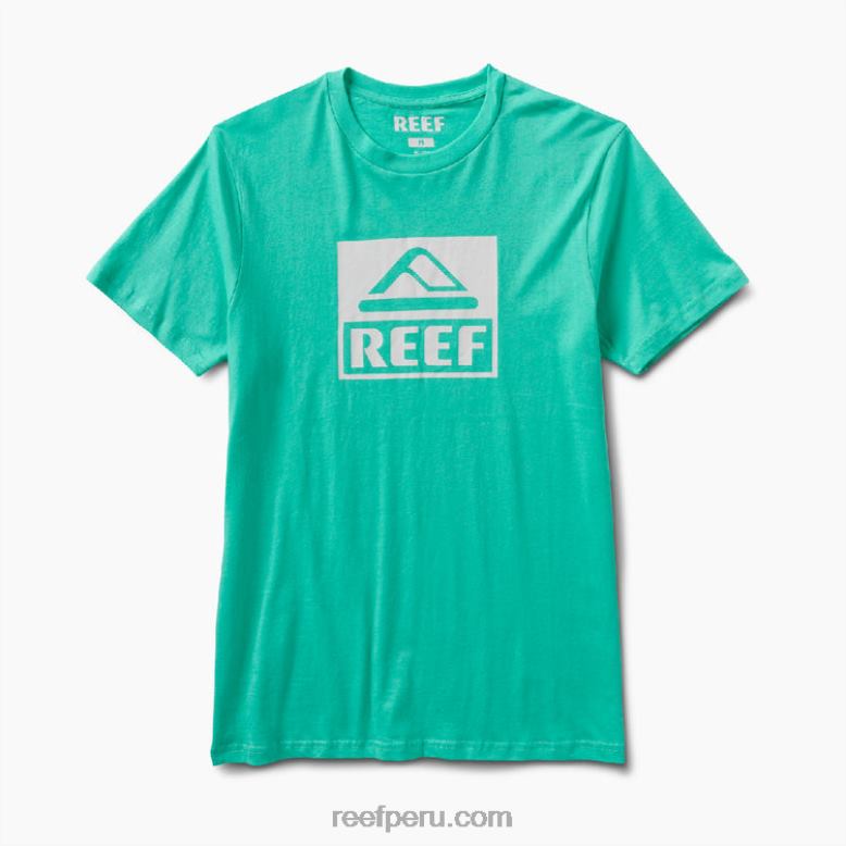 camiseta de manga corta del conductor verde electrico 0RZL2583 hombres Reef