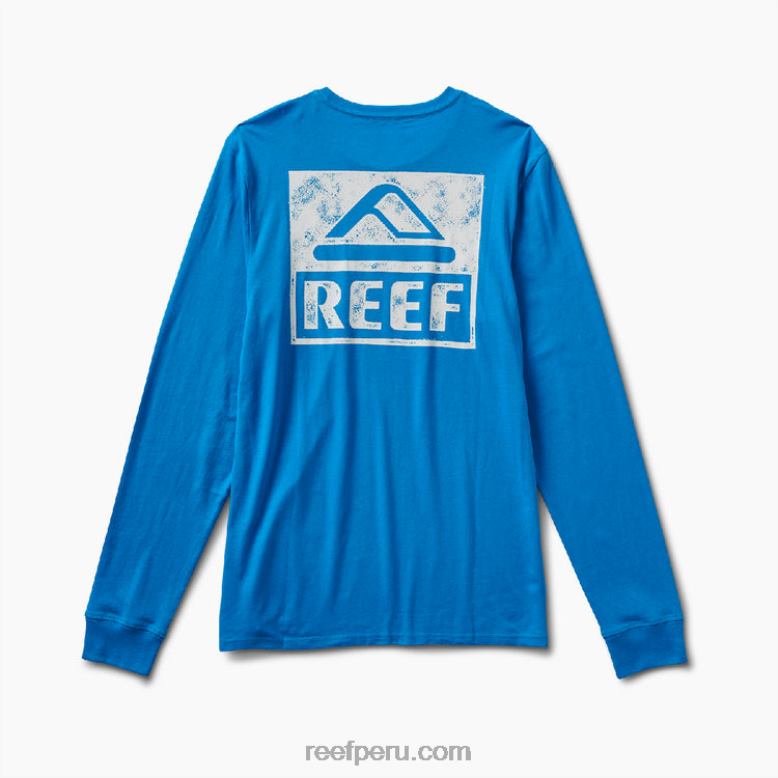 camiseta de manga larga con gráfico de wellie océano hawaiano 0RZL2603 hombres Reef