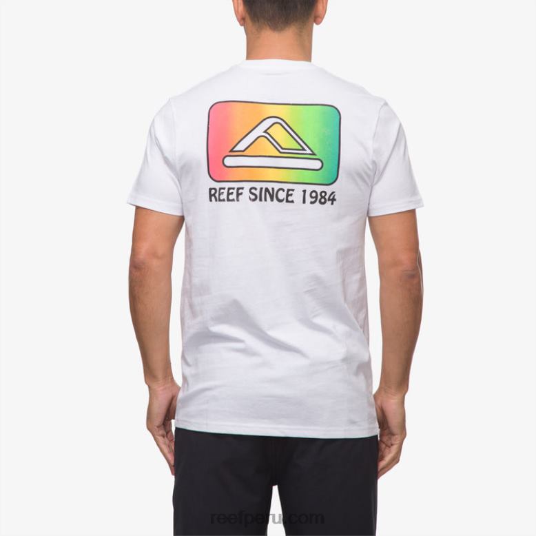playera de manga corta cardwick blanco brillante 0RZL2570 hombres Reef