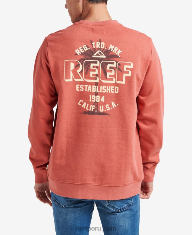 suéter bora con cuello redondo arcilla 0RZL2739 hombres Reef