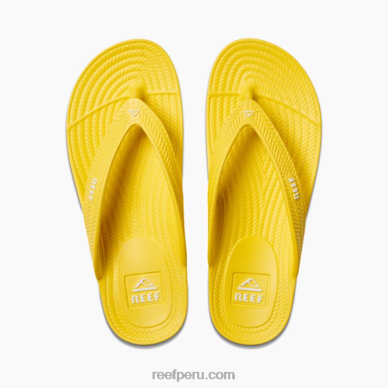 corte de agua soleado 0RZL299 mujer Reef