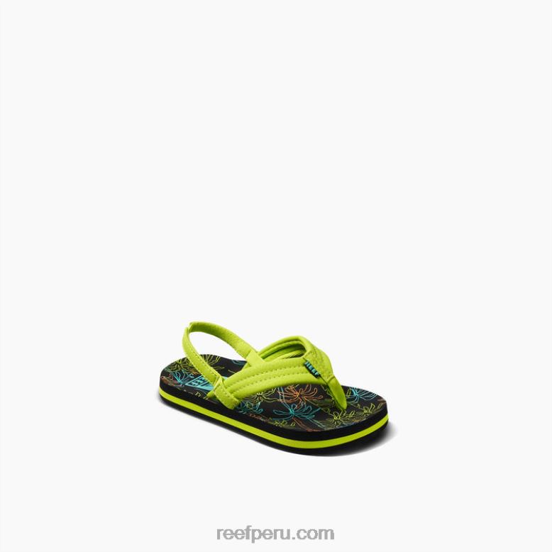 pequeño ahi palma de neón 0RZL2835 niños Reef